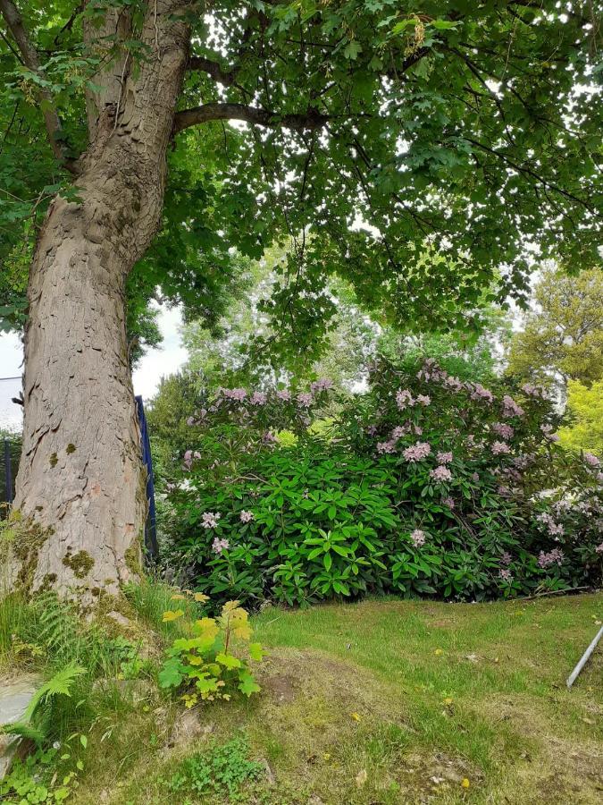 Manoir De L'as De Trefle Bed & Breakfast